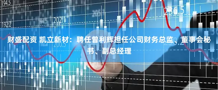 财盛配资 凯立新材：聘任曾利辉担任公司财务总监、董事会秘书、副总经理