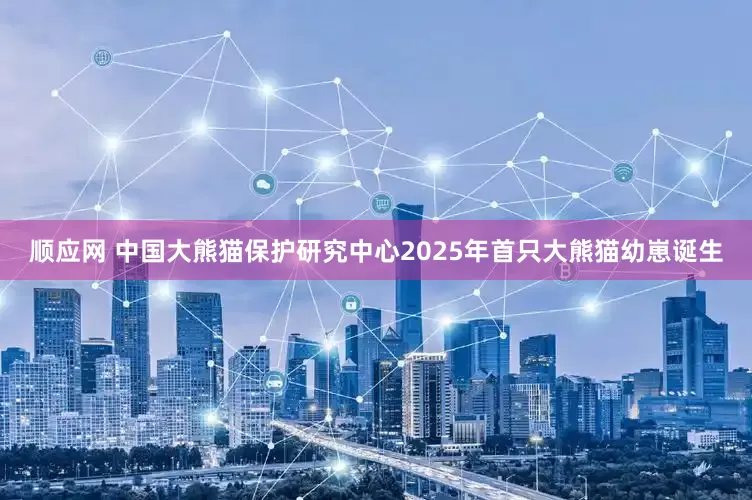 顺应网 中国大熊猫保护研究中心2025年首只大熊猫幼崽诞生