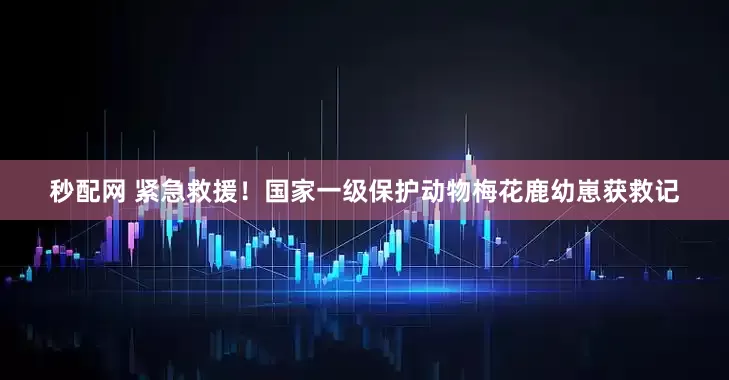 秒配网 紧急救援！国家一级保护动物梅花鹿幼崽获救记
