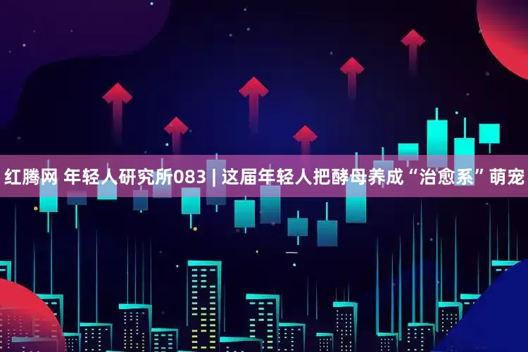 红腾网 年轻人研究所083 | 这届年轻人把酵母养成“治愈系”萌宠
