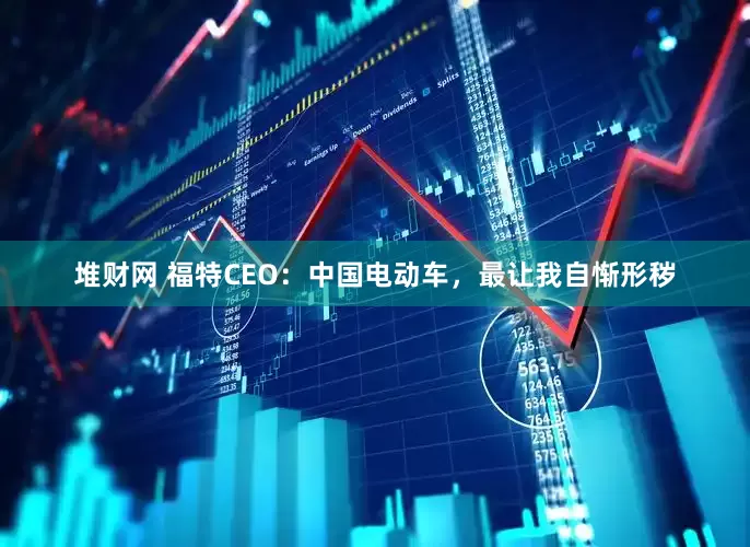 堆财网 福特CEO：中国电动车，最让我自惭形秽