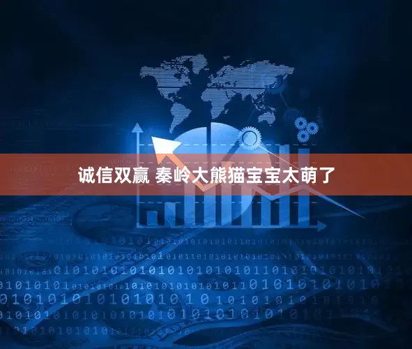 诚信双赢 秦岭大熊猫宝宝太萌了