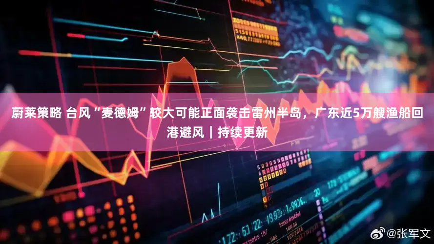 蔚莱策略 台风“麦德姆”较大可能正面袭击雷州半岛，广东近5万艘渔船回港避风｜持续更新
