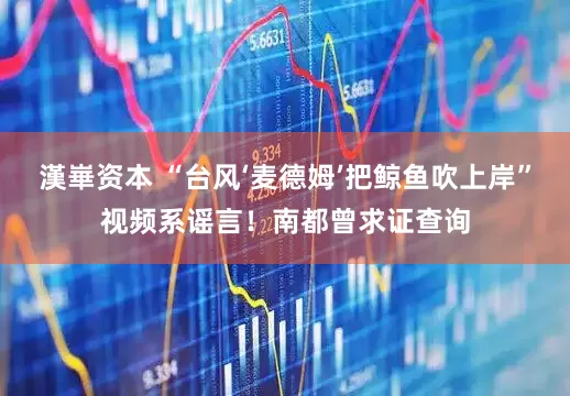 漢崋资本 “台风‘麦德姆’把鲸鱼吹上岸”视频系谣言！南都曾求证查询